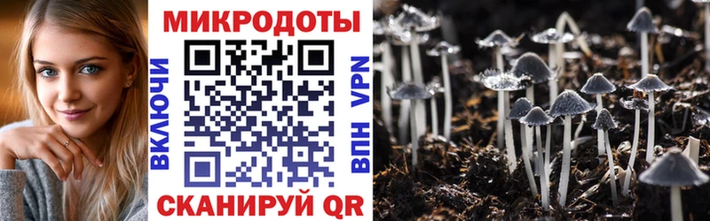 продажа наркотиков  Медногорск  Псилоцибиновые грибы прущие грибы 